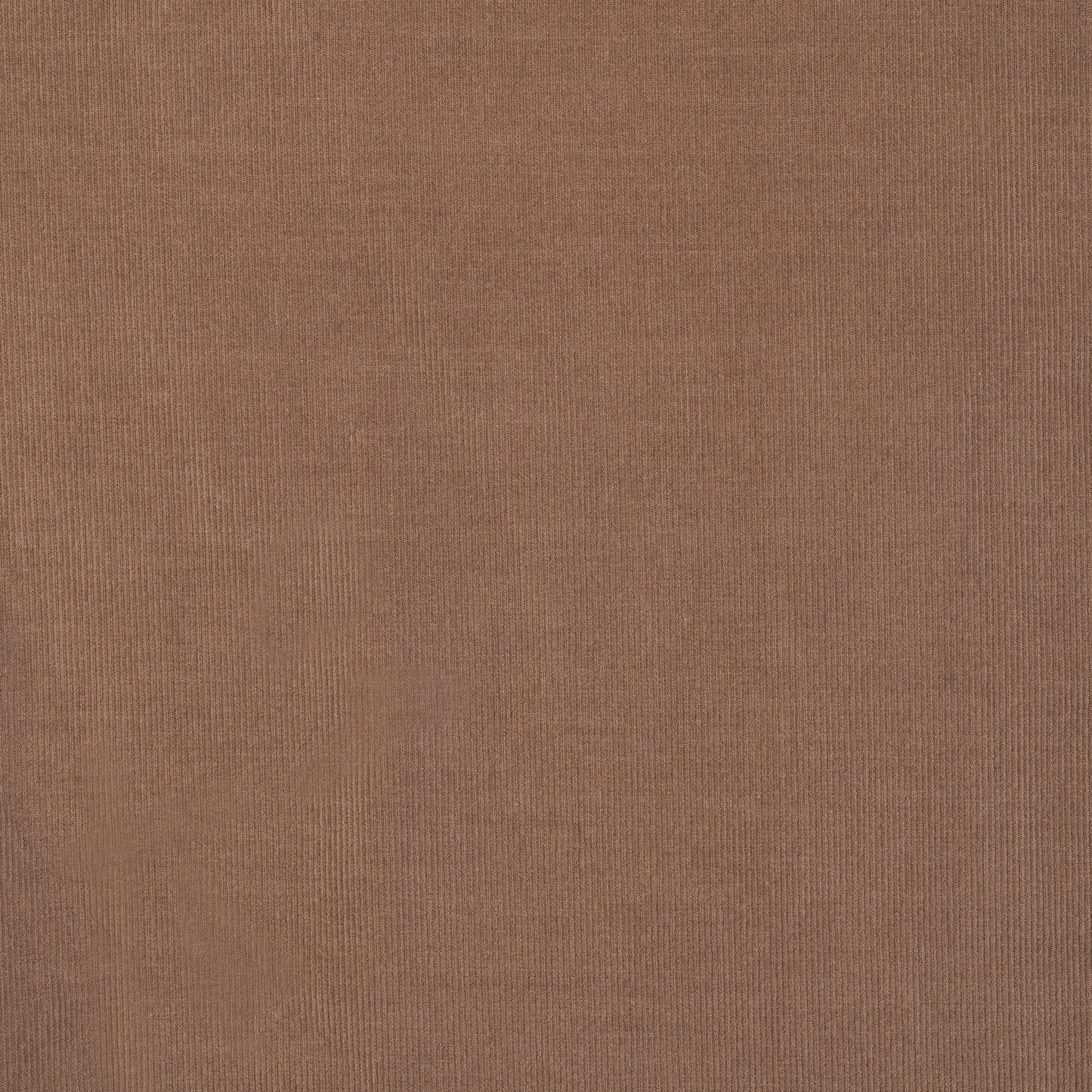 FABRIC SWATCH: RODEO QUEEN